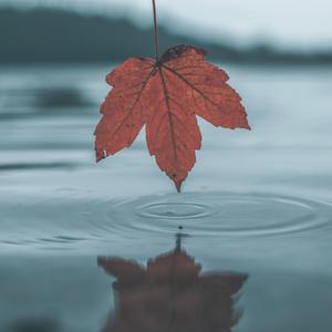 chⅰnese老女人老熟妇HD
